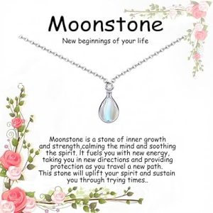 Jojomina New Beginnings Moonstone Necklace Gifts for Women Divorce Farewell Coworker Leaving Goodbye New Job Healing Gifts for Her